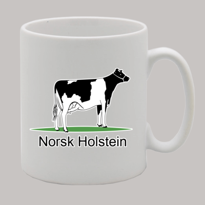 Kaffikopp - Norsk Holstein